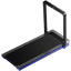 WalkingPad X25