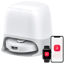 Roborock Qrevo Curv