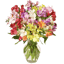 BloomsyBox