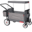 Radio Flyer Odyssey