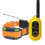 Dogtra Pathfinder 2