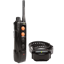 Dogtra Edge RT