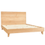 Avocado Green Mattress City