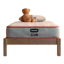 Bear Cub
