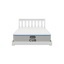 Bear Teddy