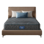 Beautyrest Hybrid 