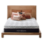 Novaform Advanced Back Support Plus