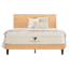 PlushBeds Savvy Bliss