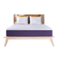 Polysleep The Origin