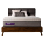 Purple Hybrid Premier 4