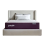 PurpleFlex