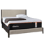 Tempur-Pedic ProAdapt