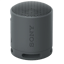 Sony XB100
