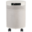 Airpura P600