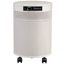 Airpura R600