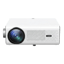 VANKYO Leisure 495W