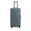 Away The Trunk