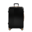 ROAM Check-In
