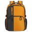 Samsonite BIZ2GO