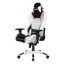 AKRacing Masters Series 