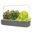Click & Grow Smart Garden 9