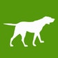 Dogwatch 