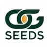 Fly High Seeds