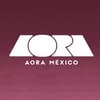 AORA Makeup