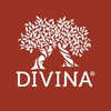 Divina Market