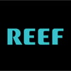 Reef Sandals