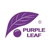 PURPLE LEAF