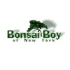 Bonsai Boy of New York