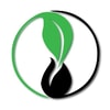 Evergreen Wrapping