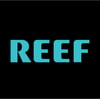 Reef Sandals