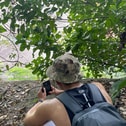 Jazzy Mufflebuns