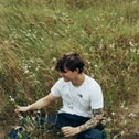 Raoul Hoven