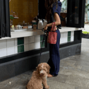Katherine A Rozier review