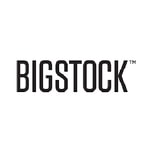 Bigstock codes promo