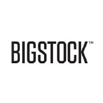 Bigstock kody kuponów