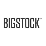 Bigstock kuponkikoodit
