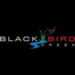 Black Bird Creek coupon codes