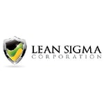 Lean Sigma Corporation coupon codes