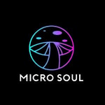 Micro Soul coupon codes