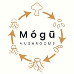 Mógū Mushrooms coupon codes