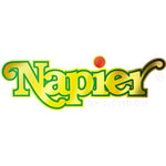 Napier discount codes