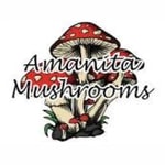 Amanita Mushrooms coupon codes