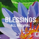 Blessings All Natural coupon codes