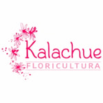 Floricultura Kalachue códigos de cupom