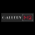 Gallery M2 promo codes