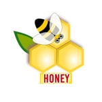 Honey Nagar discount codes